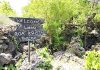 Gua Kristal, Goa nan Cantik di Kota Kupang