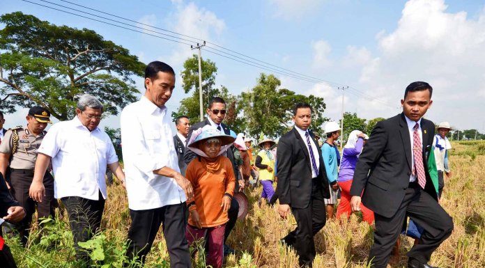 “PR” Swasembada Pangan Jokowi