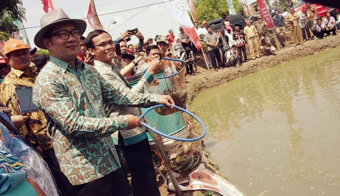 Ridwan Kamil Luncurkan Program Desa Digital