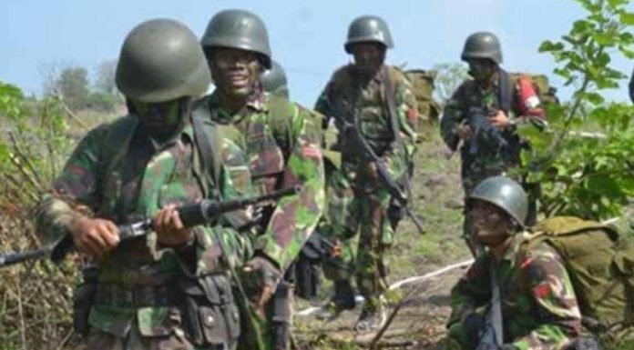 TNI Terus Lakukan Pengejaran terhadap Kelompok Kriminal Bersenjata di Puncak Papua