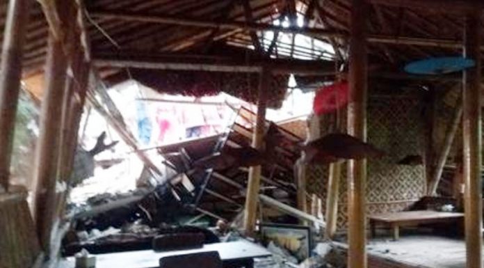 Akibat Hujan Deras dan Angin Kencang, Pohon Tumbang dan Menimpa Saung di Depok