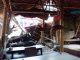 Akibat Hujan Deras dan Angin Kencang, Pohon Tumbang dan Menimpa Saung di Depok