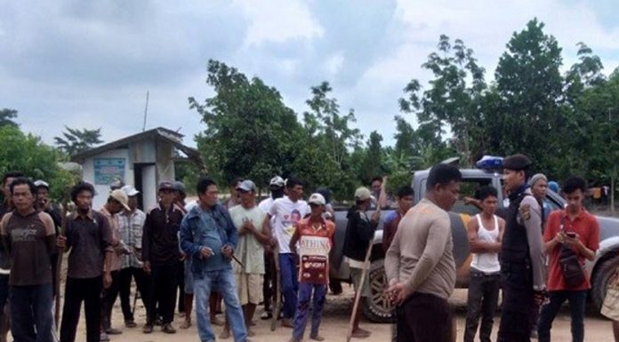 Rebutan Lahan Mesuji, 4 Korban Tewas