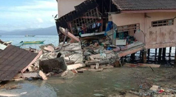 BNPB: Gempa Maluku Telan Korban 23 Orang Meninggal