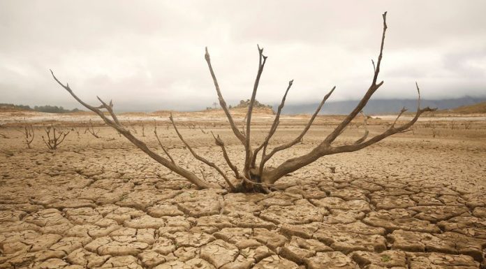 BMKG: Empat Kabupaten Berstatus Awas Kekeringan