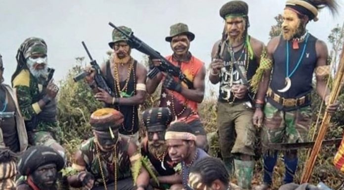 BIN Menyebut KKB Papua Sebagai Kelompok Separatis dan Teroris