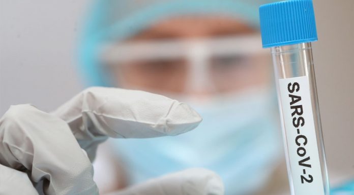 BPOM Setujui Pelaksanaan Uji Klinik Ivermectin Sebagai Obat Covid-19