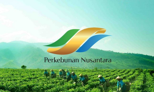 Dugaan Korupsi Terselubung di PTPN