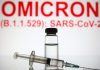 Satu Kasus Varian Omicron Tanpa Gejala Ditemukan di Indonesia