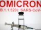 Satu Kasus Varian Omicron Tanpa Gejala Ditemukan di Indonesia