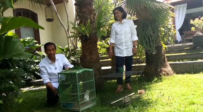 Usai menjadi Presiden, Jokowi Berencana Pulang ke Solo