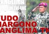 Yudo Margono, Panglima TNI