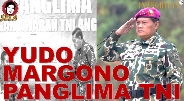 Yudo Margono, Panglima TNI