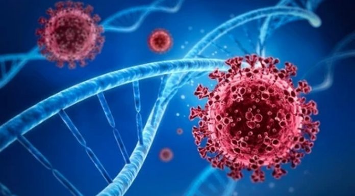 Pemerintah Berencana akan Menghentikan PPKM