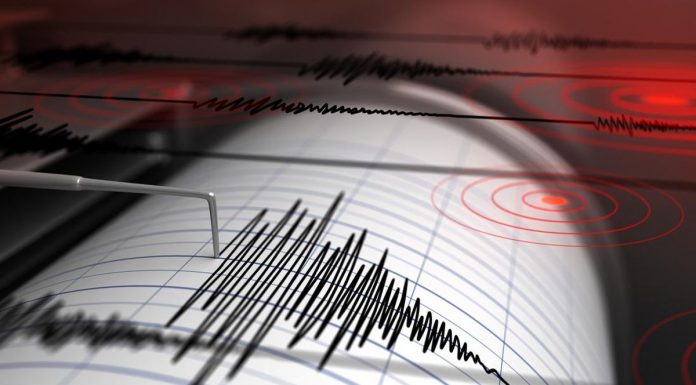 Gempa Magnitudo 7,9 Guncang Maluku