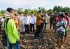 Presiden Tinjau Lokasi Food Estate Keroom, Papua