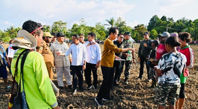 Presiden Tinjau Lokasi Food Estate Keroom, Papua