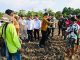 Presiden Tinjau Lokasi Food Estate Keroom, Papua
