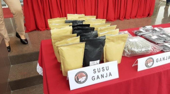 “Susu Ganja” Modus Operandi Baru Peredaran Narkoba
