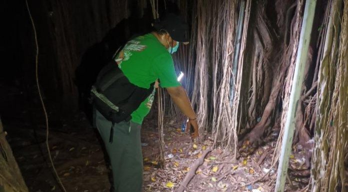 Hutan Kota Cawang Jakarta Timur dijadikan Sarang Asusila LGBT