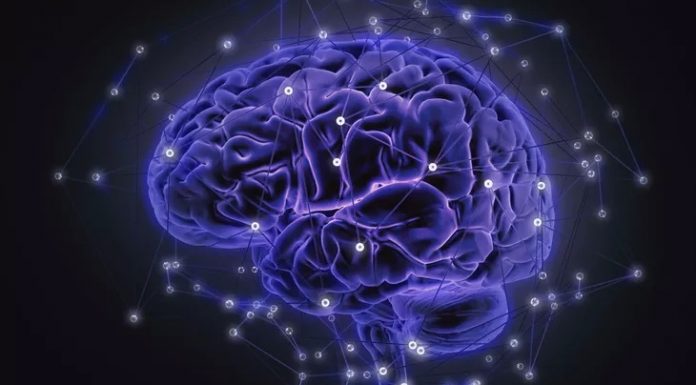 Polusi Bisa Merusak Otak, Picu Alzheimer hingga Parkinson