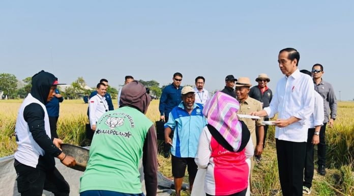 Presiden: Panen Raya Sumbang harapkan Tambah Cadangan Beras Kita