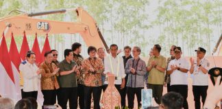 Presiden Jokowi Apresiasi Gerak Cepat Investor Dalam Negeri Berinvestasi di IKN