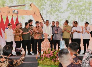 Presiden Jokowi Apresiasi Gerak Cepat Investor Dalam Negeri Berinvestasi di IKN