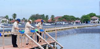 Kawasan BLUPPB Karawang, Dorong Swasembada Pangan dan Ekonomi Biru