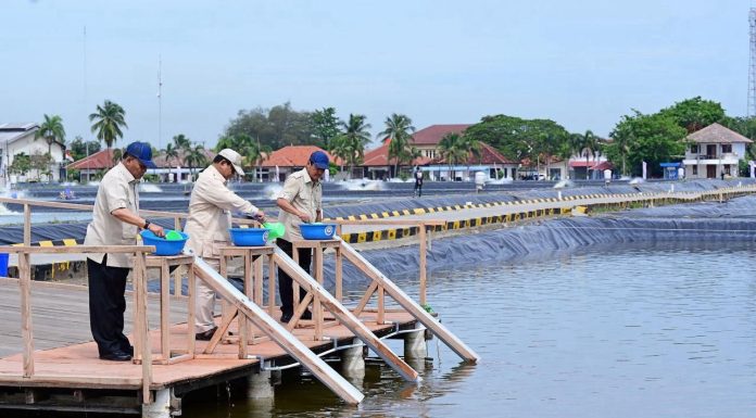 Kawasan BLUPPB Karawang, Dorong Swasembada Pangan dan Ekonomi Biru