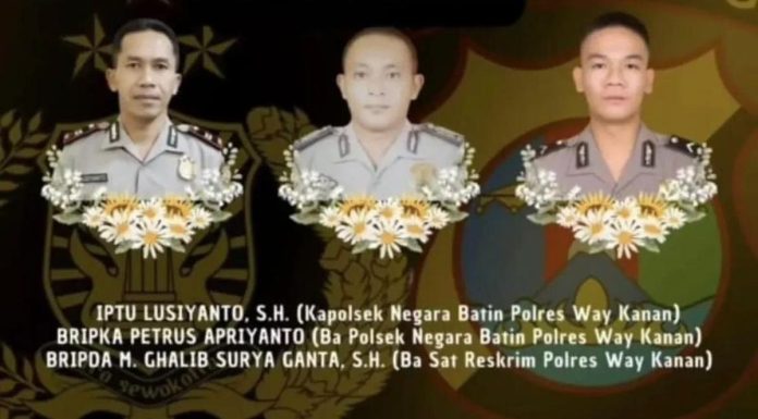 3 Polisi Gugur Ditembak, Gerebek Judi Sabung Ayam