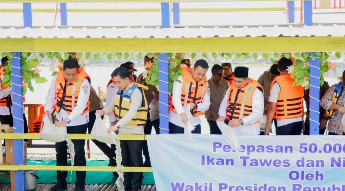 Tebar Benih Ikan, Wapres Dukung Penguatan Ketahanan Pangan dan Keseimbangan Ekosistem di Klaten