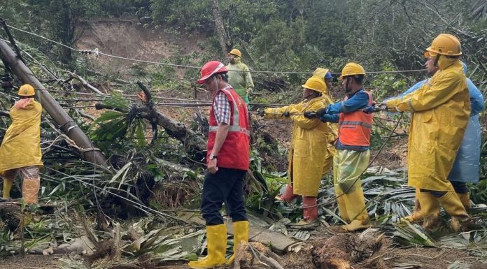 PLN Terus Percepat Pemulihan Jaringan Listrik di Aceh, Sumbar, dan Sumut