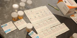 Operasi P4GN Terpadu di Wilayah Perbatasan: BNN Tegas Memberantas, Humanis Memulihkan