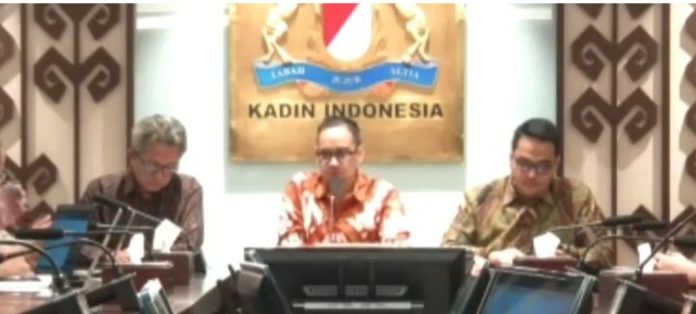 Aturan Ekosistem Digital Diminta Adaptif, Kadin Tekankan Pentingnya Dialog dengan Industri