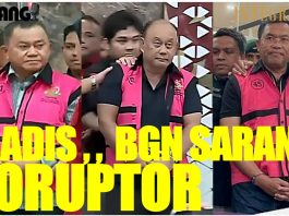 SADIS,, BGN SARANG KORUPTOR !