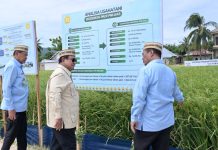 Presiden Prabowo Tinjau Teknologi Pertanian Modern untuk Perkuat Swasembada Pangan