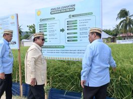 Presiden Prabowo Tinjau Teknologi Pertanian Modern untuk Perkuat Swasembada Pangan