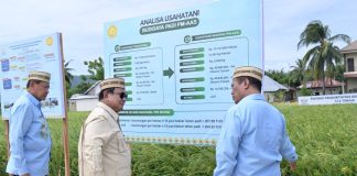 Presiden Prabowo Tinjau Teknologi Pertanian Modern untuk Perkuat Swasembada Pangan