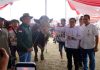 Kontes Sapi APPSI Piala Presiden Jadi Panggung Peternak, Kementan Perkuat Genetik dan Produktivitas