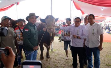 Kontes Sapi APPSI Piala Presiden Jadi Panggung Peternak, Kementan Perkuat Genetik dan Produktivitas